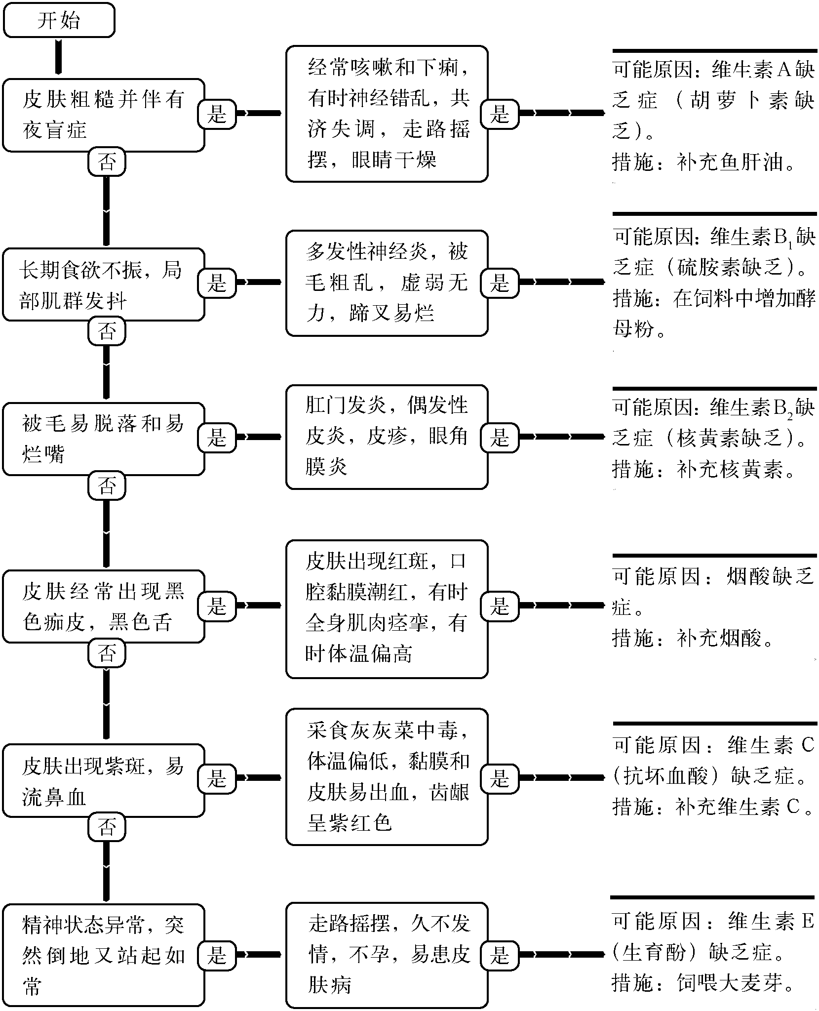 40.維生素缺乏癥